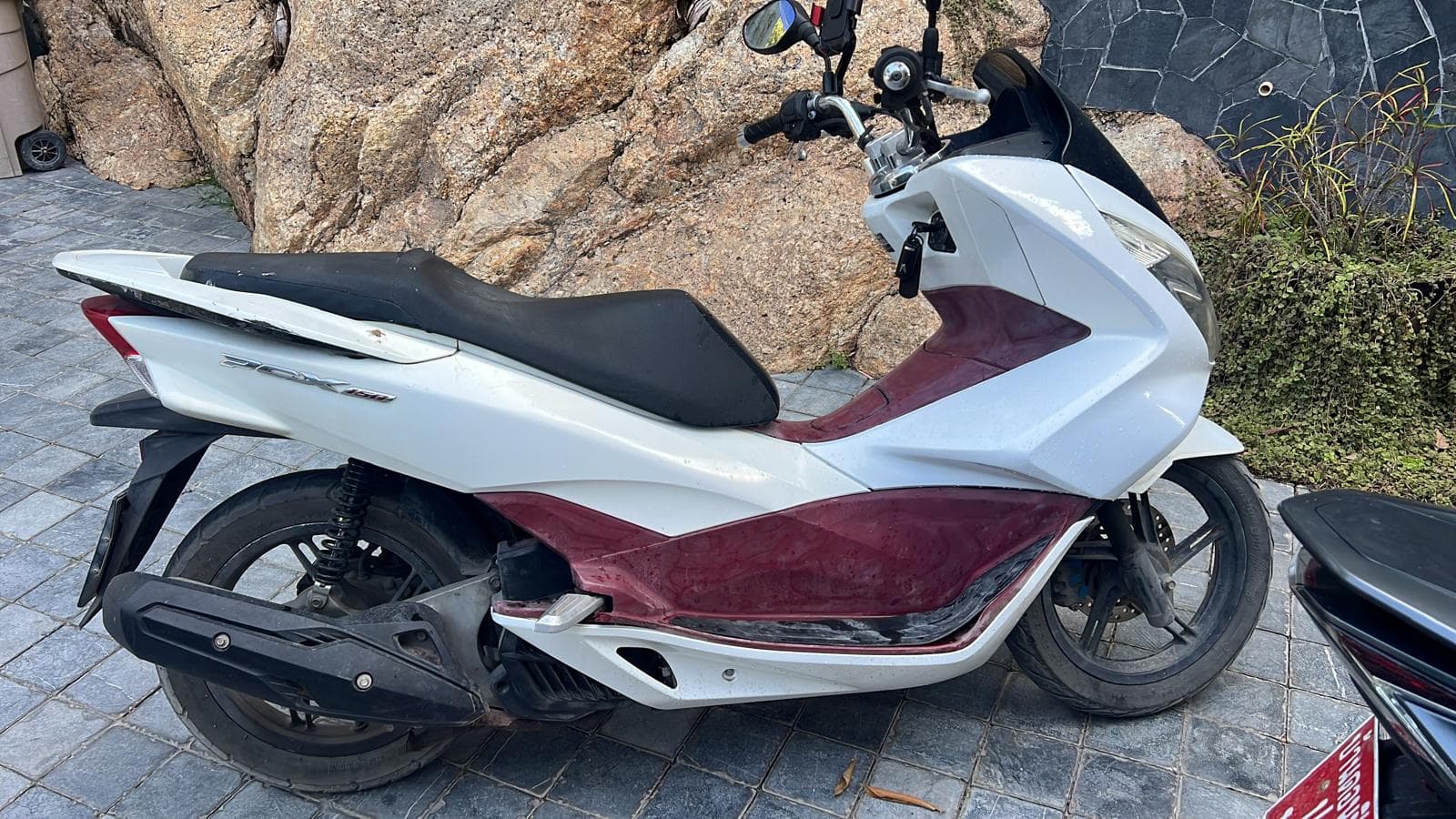 Honda PCX 150 (White)