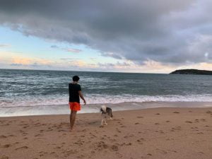 Solo traveler with his pet dog on the beach in Koh Samui.