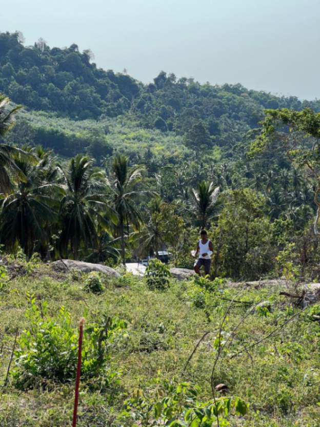Man exploring the lush green hills of Koh Samui during the daytime.