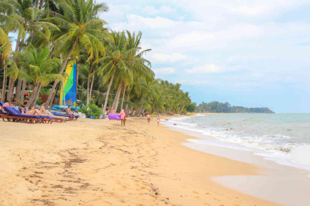 Picturesque Maenam beach during a sunny day, with palm trees and beach loungers visible.